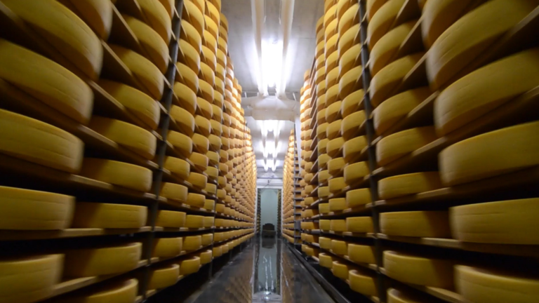 The Industrialisation of Nature – Documentary